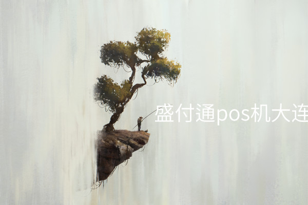 将业务发展提升到新的高度，使用盛付通POS机——大连代理